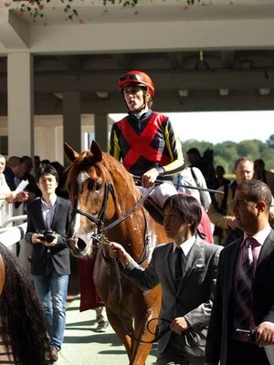 競馬】大外枠も不問。揺るがぬオルフェーヴル陣営に見た、凱旋門賞制覇